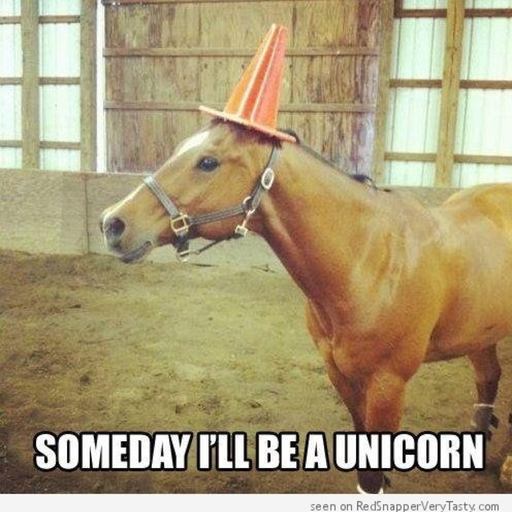 Search for funny pictures Search for funny pictures