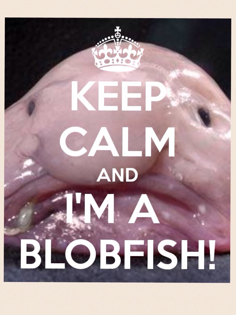 Sexy Blobfish