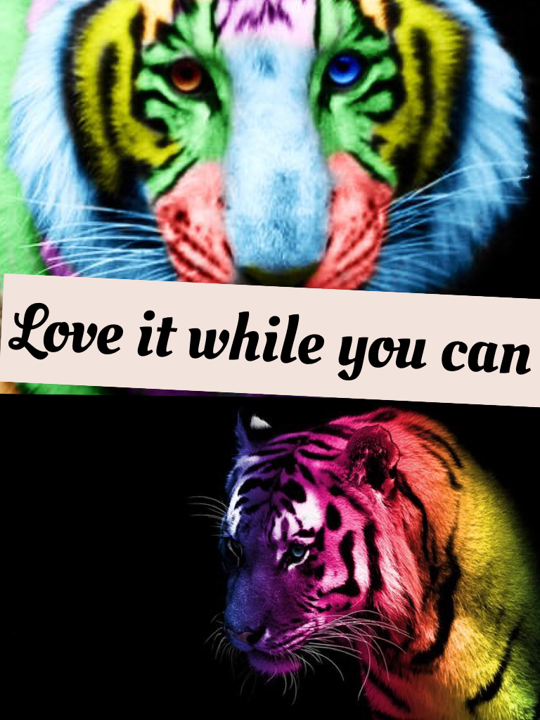 piccollage