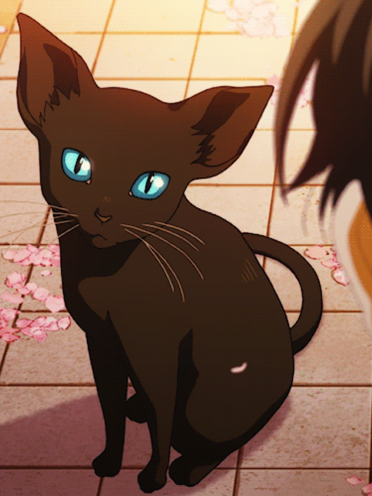 Anime black cat gif