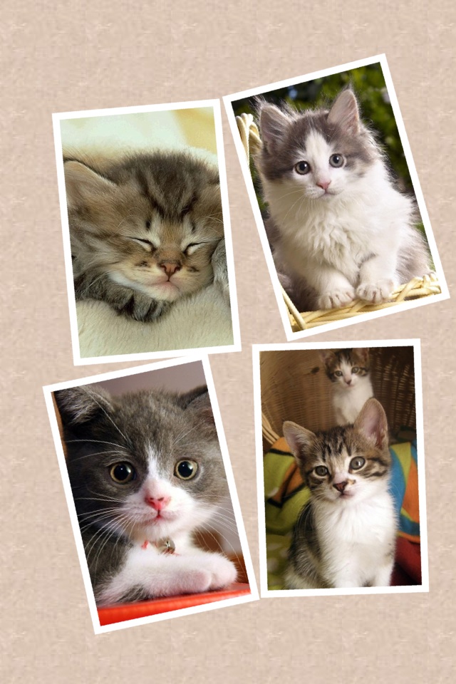 Piccollage