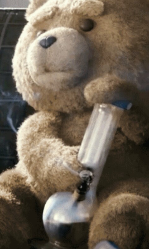 Картинки медведь курит